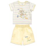 Boys Bunnies T-shirt and Shorts Set
