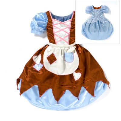 Cinderella Rags to Riches Costume