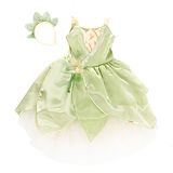 Princess & The Frog Tiana Costume