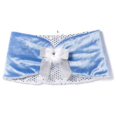 Cinderella Reversible Blue Costume with Silver Cape