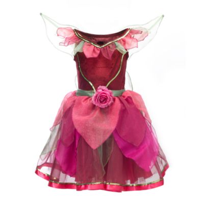 Fairies Rosetta Costume