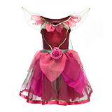Fairies Rosetta Costume