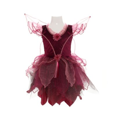 Fairies Vidia Costume