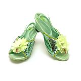 Princess & The Frog Shoes