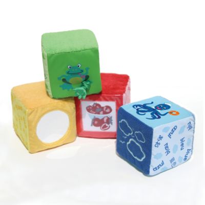 Baby Einstein Colour Blocks