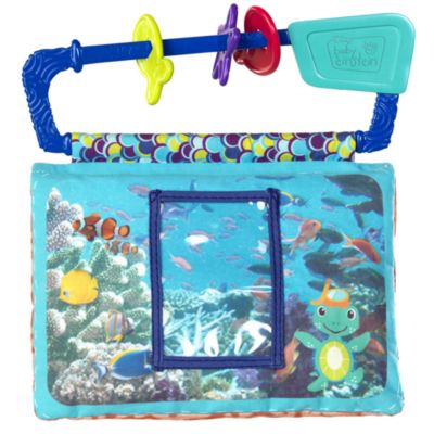 Baby Einstein GBR Photo Book